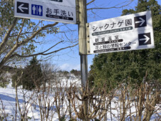 新潟県立植物園様 園内誘導案内サイン
